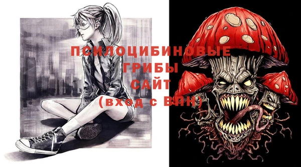 PSILOCYBIN Армянск