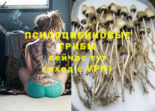 PSILOCYBIN Армянск