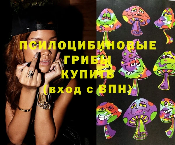 PSILOCYBIN Армянск